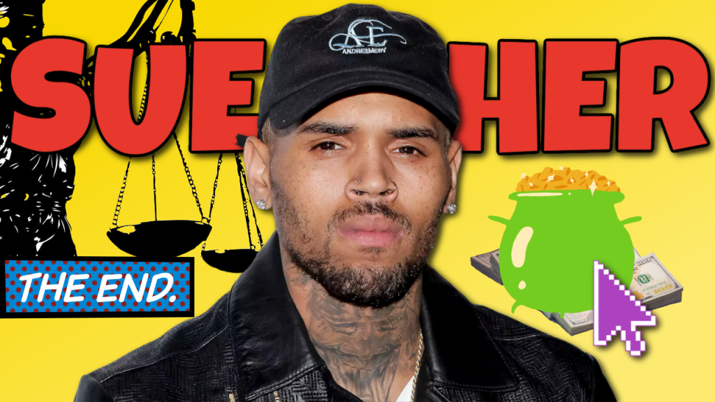 Chris Brown EXPOSED accuser for FALSE ACCUSATIONS w/ TMZ RECEIPTS!